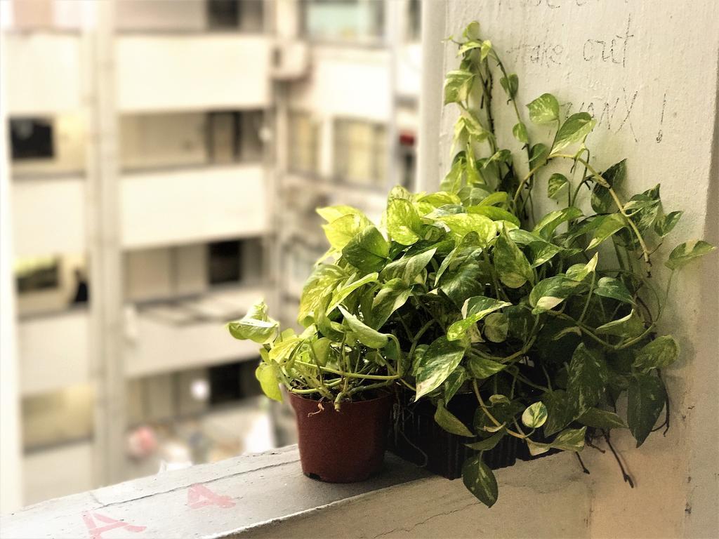 3D Inn Hong Kong - Dragon Ngoại thất bức ảnh